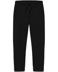 Colmar - Zwarte Broek - Lyst