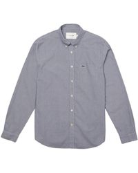Lacoste - Blauwe Hemden - Lyst