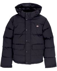 Dickies - Winter Jackets - Lyst