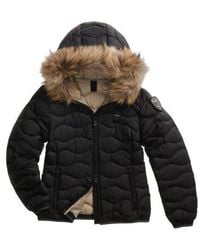 Blauer - Vestes Noires - Lyst