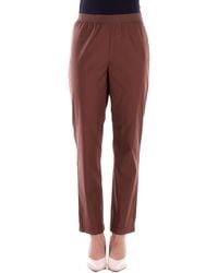 Alpha Studio - Trousers Ad6480Q 2009 Chocolate Cigarette Pants - Lyst