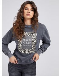 tute sportive guess