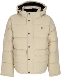 Dickies - Glacier View Puffer Irish Cream - Lyst