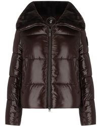 Save The Duck - Moma Cropped Padded Jacket - Lyst