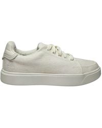 Timberland - Schuhe Fur Damen Emerson Street Low Lace Sneaker Canvas - Lyst
