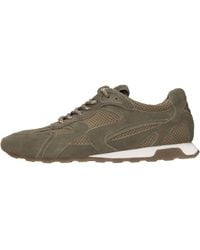 Ash - Wildleder-Sneaker - Lyst