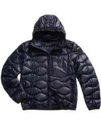 Blauer - Blauwe Jassen - Lyst
