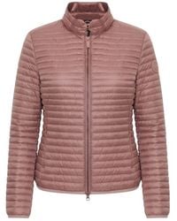 Colmar - Roze Jassen - Lyst