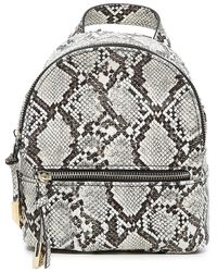 steve madden knapsack