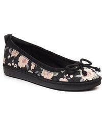 rocket dog canvas flats