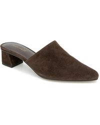 Splendid - Lorelei Mule - Lyst