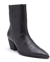 Matisse - Caty Bootie - Lyst