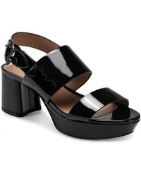 aerosoles camera platform