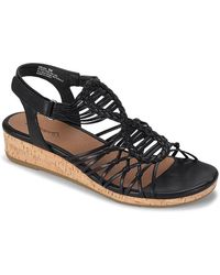 BareTraps Synthetic Laverick Espadrille 