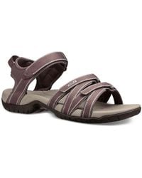 dsw teva tirra