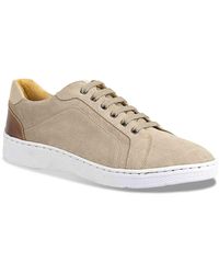 sandro moscoloni outlet
