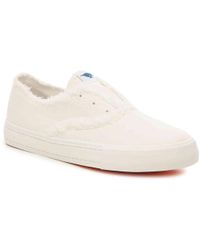 Rocket Dog Womens Jazzin Tizer Pumps