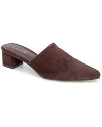 Splendid - Lorelei Mule - Lyst