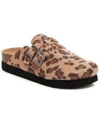 Rocket Dog - Abel Plus Clog - Lyst