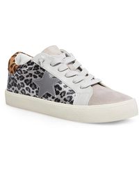 madden girl bailey sneaker leopard