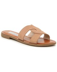 steve madden havana