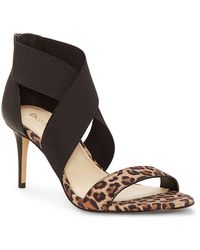 enzo angiolini kailee buckle strap kitten heel