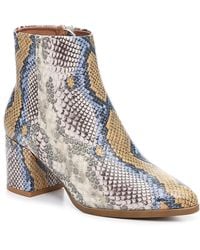 dafni bootie