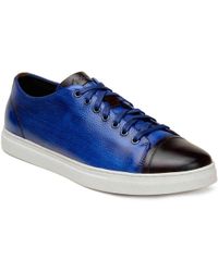 belvedere shoes dillards