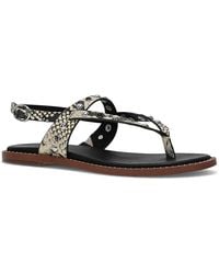 Frye & Co. - Bucky Sandal - Lyst