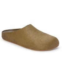 Matisse - Daria Clog - Lyst