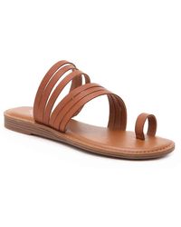franco sarto humour