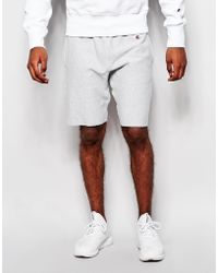 champion sweatshirt shorts