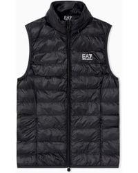 EA7 - Core Weste Nylon Wattiert Mit Stehkragen Core Lady - Lyst