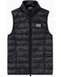 EA7 - Core Weste Nylon Wattiert Mit Stehkragen Core Lady - Lyst