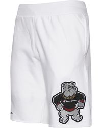 champion mascot collection