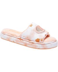 cheap trainers size 12