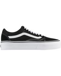 vans 41