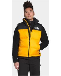gilets north face