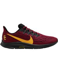 nike air zoom pegasus michigan state