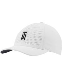 tw perforated mesh ii