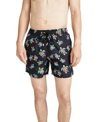 suge Whales Colorful Sea Women Beach Pants with Mesh Lining Swimwear