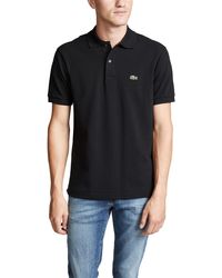 lacoste shirt mens sale