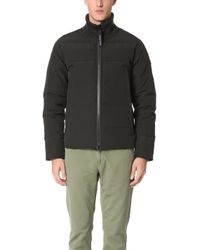 canada goose branta canada goose branta