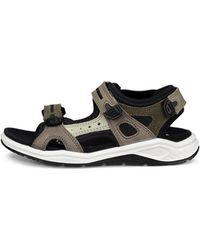 Ecco - X-Trinsic - Lyst