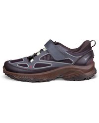 Ecco - Receptor Xp - Lyst