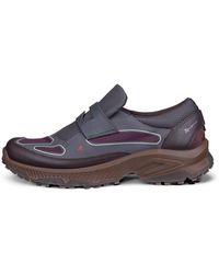 Ecco - Receptor Xp - Lyst