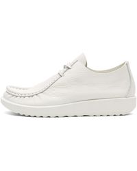 Ecco - Kollektive Joke - Lyst