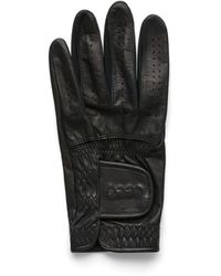 Ecco - Golf Gloves - Lyst