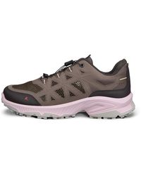 Ecco - Receptor Xp - Lyst