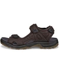 Ecco - Offroad - Lyst